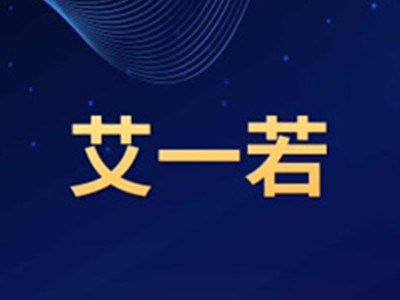 陕西艾一若厨房电器加盟